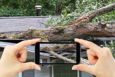 Two hands hold a phone and take a photo of a tree that fell on a roof